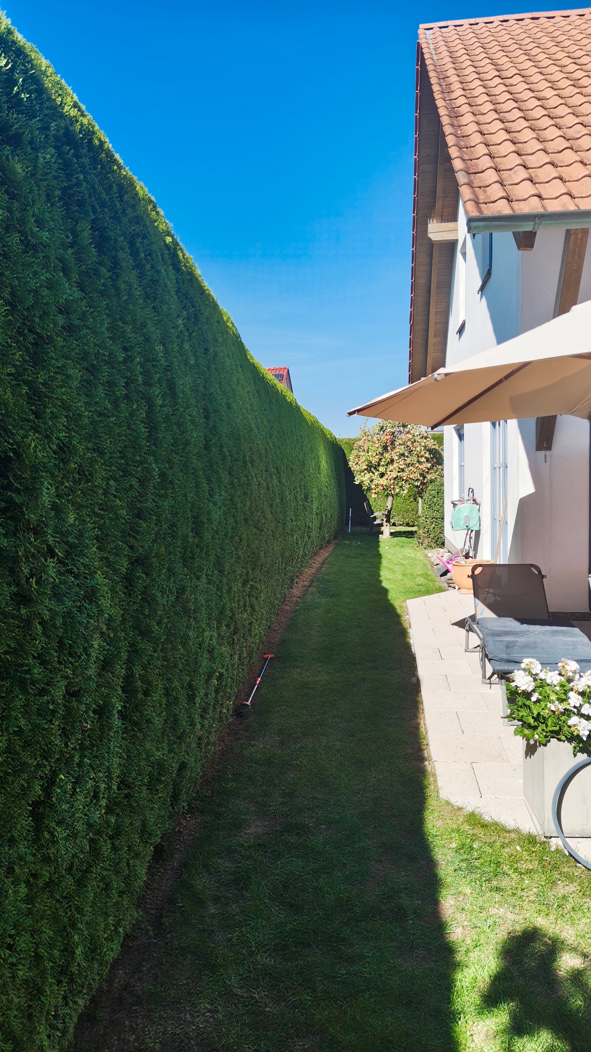 Heckenschnitt als Teil der Gartenpflege – präziser Schnitt für gesunde und dichte Hecken.