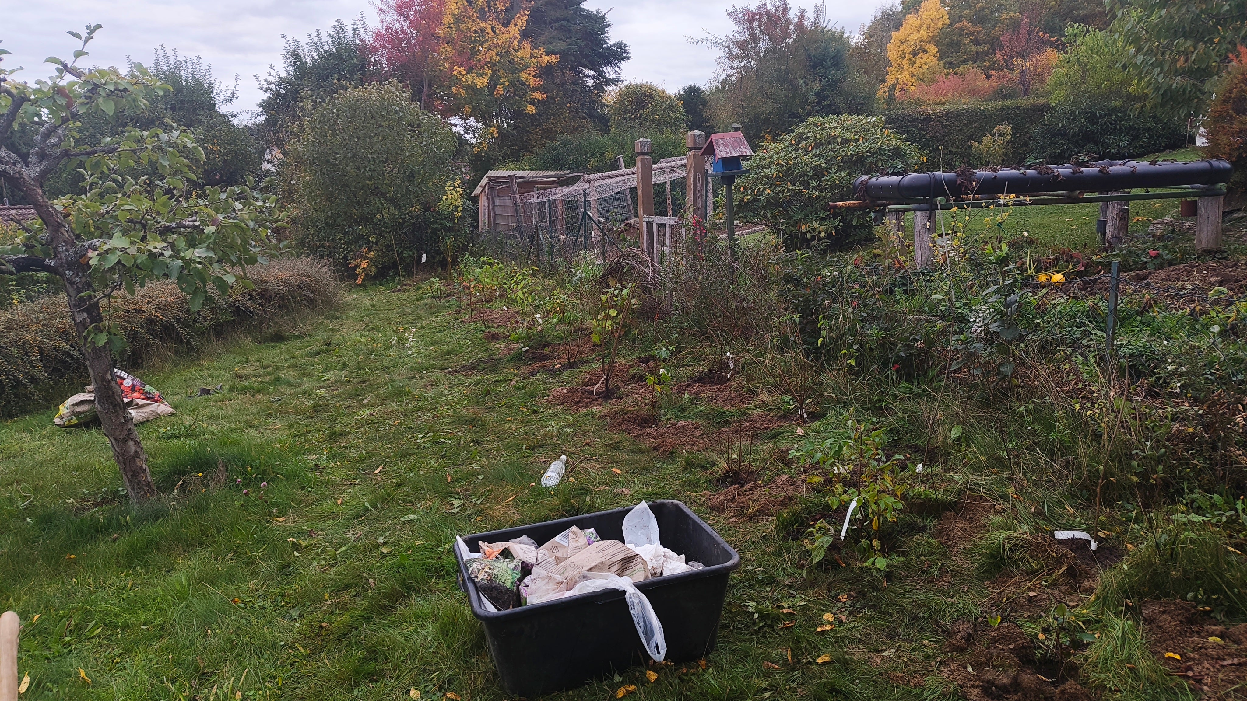 Wildheckenpflanzung im Privatgarten bei Schonungen
