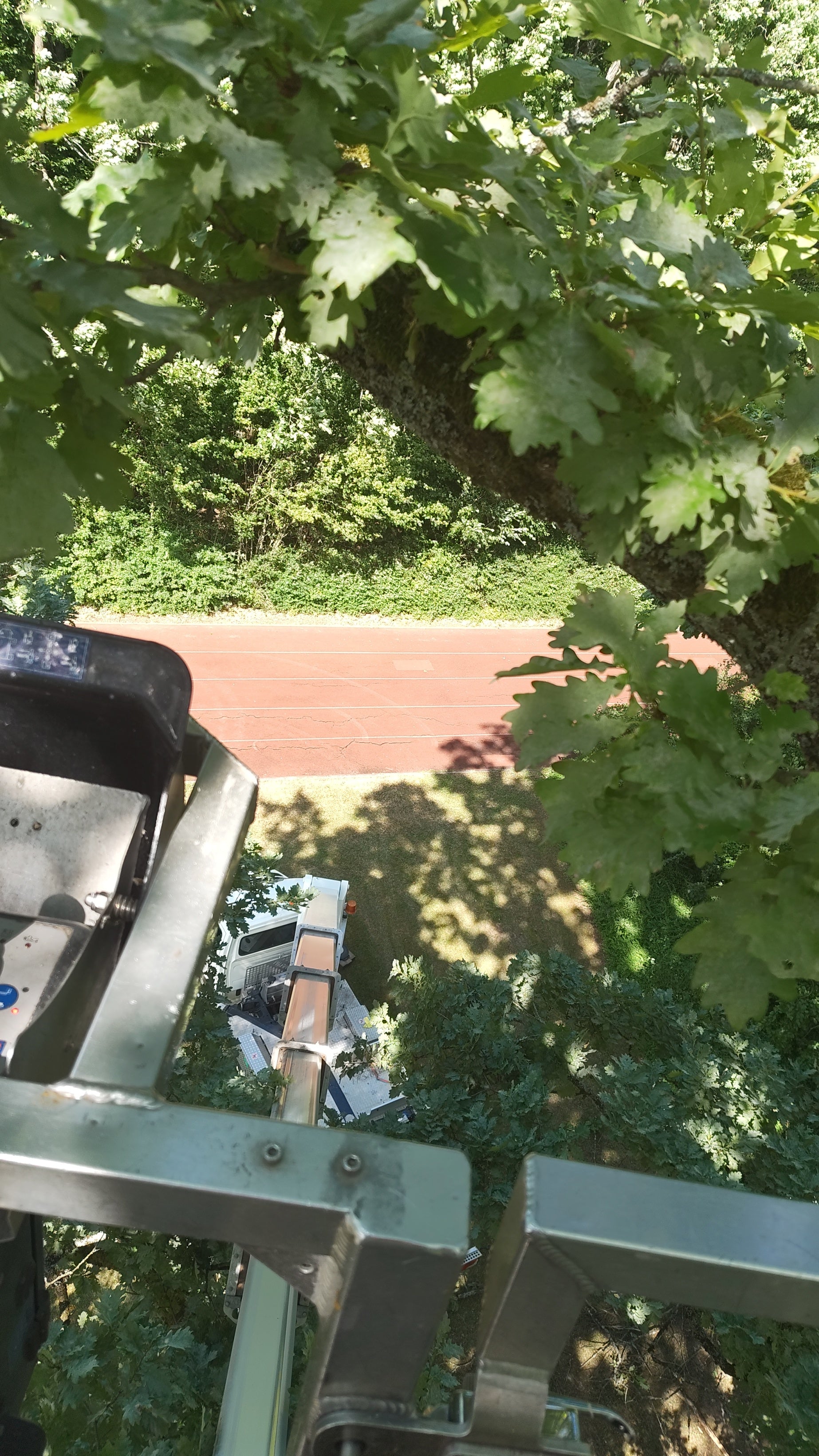 Hebebühne mieten Schweinfurt. Baumschnitt Schweinfurt Baumpflege