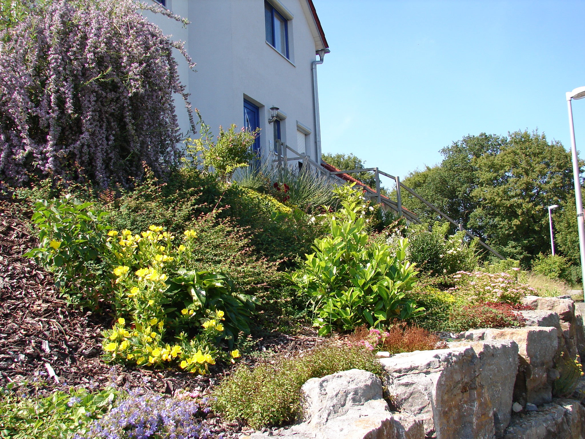 Einfamilienhaus mit gepflegtem Vorgarten in Schweinfurt. Gartenservice Schweinfurt